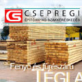 t�gla,feny��ru,f�r�sz�ru,k�m�nyek,Leier,